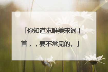 你知道求唯美宋词十首，，要不常见的。