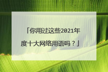 你用过这些2021年度十大网络用语吗?
