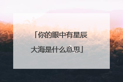 你的眼中有星辰大海是什么意思