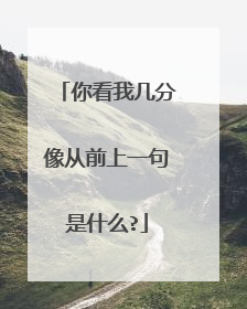你看我几分像从前上一句是什么?