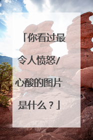 你看过最令人愤怒/心酸的图片是什么?