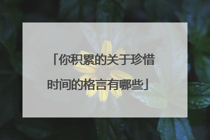 你积累的关于珍惜时间的格言有哪些