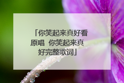 你笑起来真好看原唱 你笑起来真好完整歌词