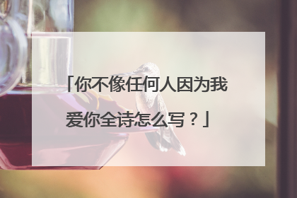 你不像任何人因为我爱你全诗怎么写？