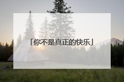 你不是真正的快乐