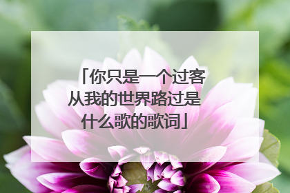 你只是一个过客从我的世界路过是什么歌的歌词