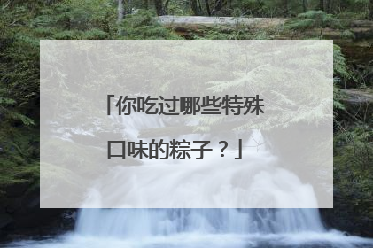 你吃过哪些特殊口味的粽子?