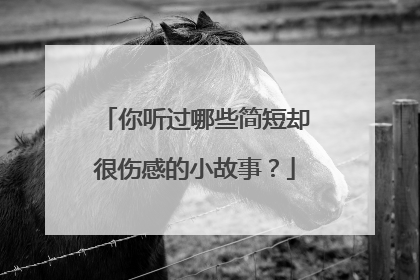 你听过哪些简短却很伤感的小故事？