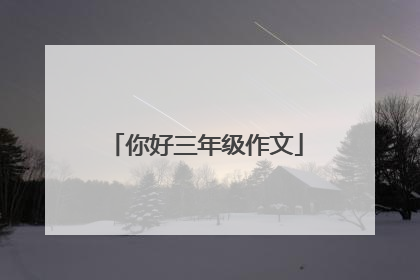 你好三年级作文