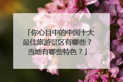 你心目中的中国十大最佳旅游景区有哪些？当地有哪些特色？