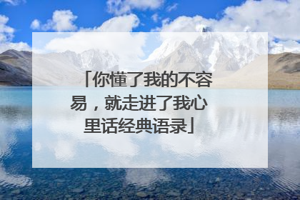 你懂了我的不容易,就走进了我心里话经典语录
