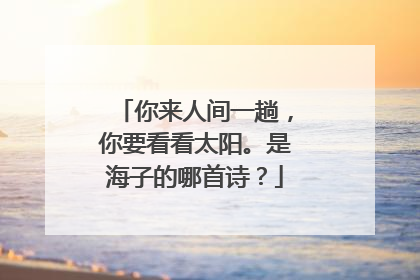 你来人间一趟,你要看看太阳。是海子的哪首诗?