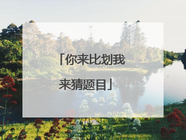 你来比划我来猜题目