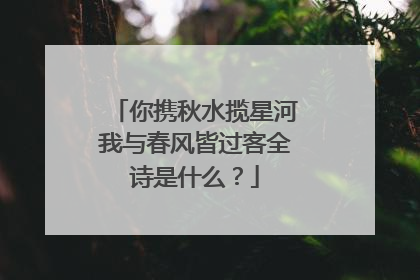 你携秋水揽星河我与春风皆过客全诗是什么?
