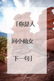 你是人间小仙女下一句
