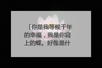 你是我等候千年的幸福，我是你肩上的蝶。好像是什么里面的歌词。