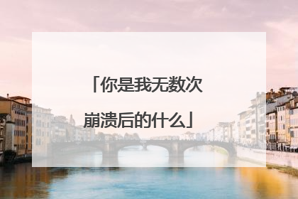 你是我无数次崩溃后的什么