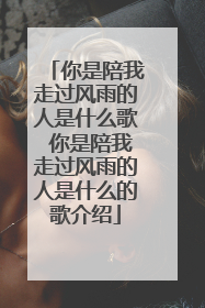 你是陪我走过风雨的人是什么歌 你是陪我走过风雨的人是什么的歌介绍