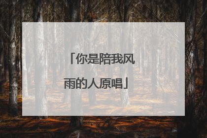 你是陪我风雨的人原唱