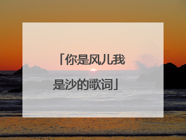 你是风儿我是沙的歌词