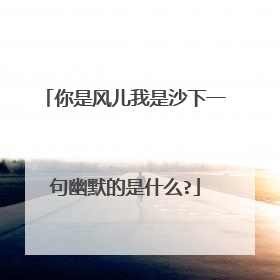 你是风儿我是沙下一句幽默的是什么?