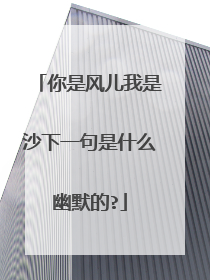 你是风儿我是沙下一句是什么幽默的?