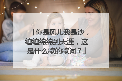 你是风儿我是沙，缠缠绵绵到天涯，这是什么歌的歌词？