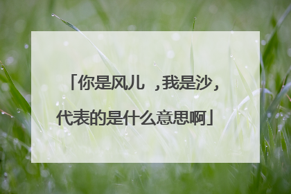 你是风儿 ,我是沙,代表的是什么意思啊
