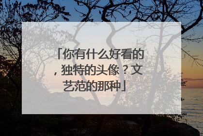 你有什么好看的，独特的头像？文艺范的那种
