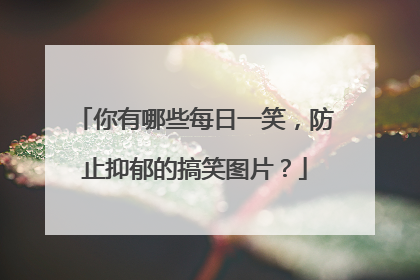 你有哪些每日一笑,防止抑郁的搞笑图片?