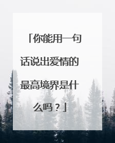 你能用一句话说出爱情的最高境界是什么吗?