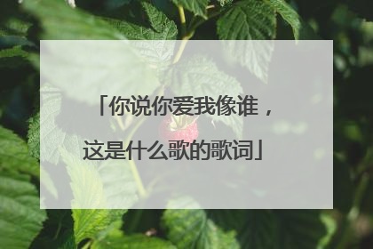 你说你爱我像谁，这是什么歌的歌词