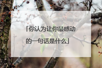 你认为让你最感动的一句话是什么