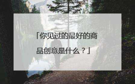 你见过的最好的商品创意是什么？
