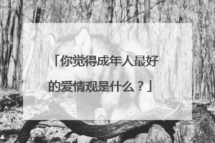 你觉得成年人最好的爱情观是什么？
