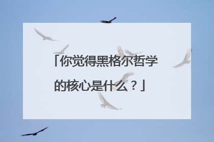 你觉得黑格尔哲学的核心是什么？