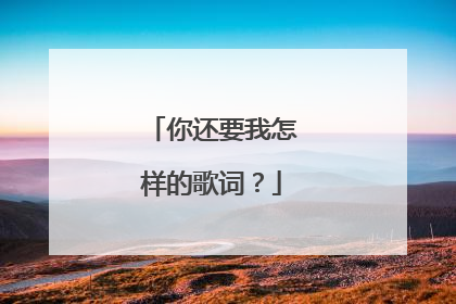 你还要我怎样的歌词?