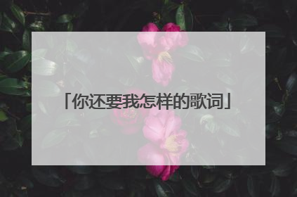 你还要我怎样的歌词