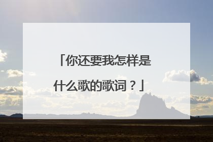 你还要我怎样是什么歌的歌词？