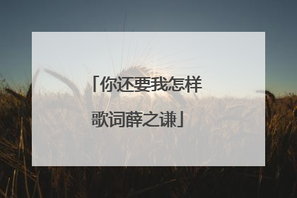 你还要我怎样歌词薛之谦