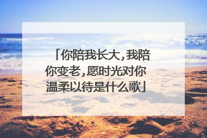 你陪我长大,我陪你变老,愿时光对你温柔以待是什么歌