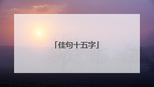 佳句十五字