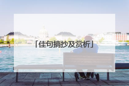 佳句摘抄及赏析