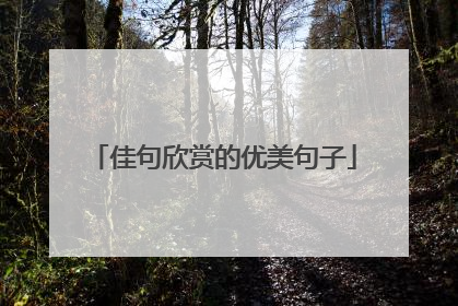 佳句欣赏的优美句子