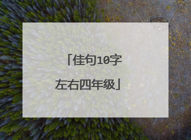 佳句10字左右四年级