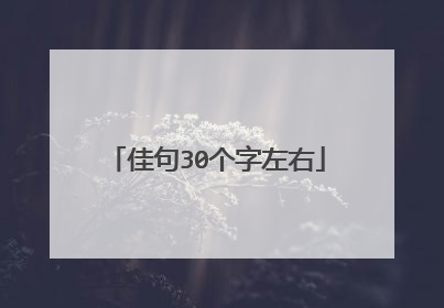 佳句30个字左右