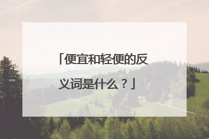 便宜和轻便的反义词是什么？