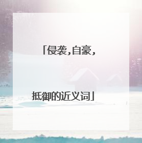 侵袭,自豪,抵御的近义词