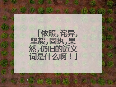 依照,诧异,坚毅,固执,果然,仍旧的近义词是什么啊!