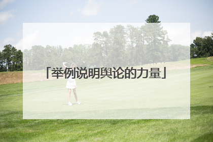 举例说明舆论的力量